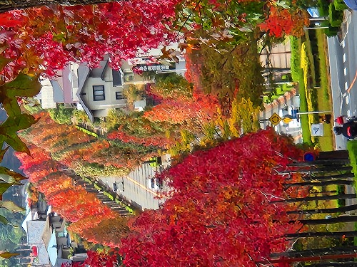 20251111_113727a.jpg (121713 �o�C�g)