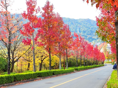 20251111_113753_001a.jpg (126241 �o�C�g)