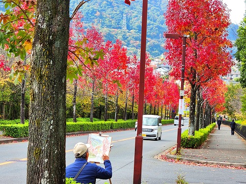 20251111_113831a.jpg (139369 �o�C�g)