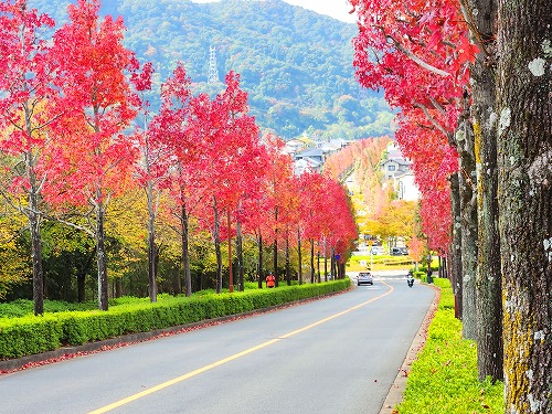 20251111_113917_001a.jpg (129632 �o�C�g)