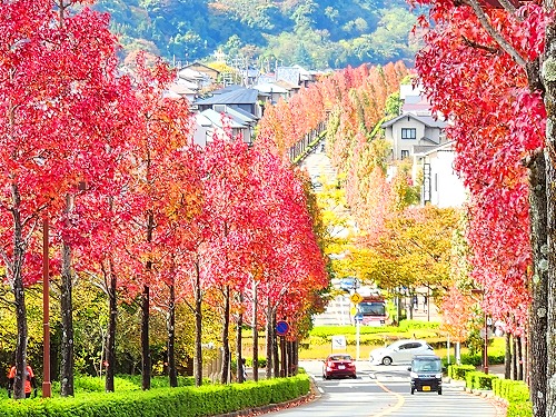 20251111_113932a.jpg (154267 �o�C�g)