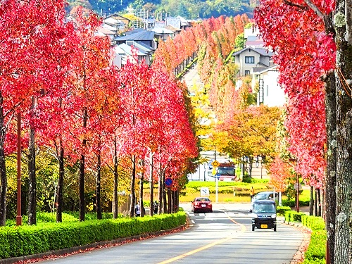 20251111_113935a.jpg (148776 �o�C�g)