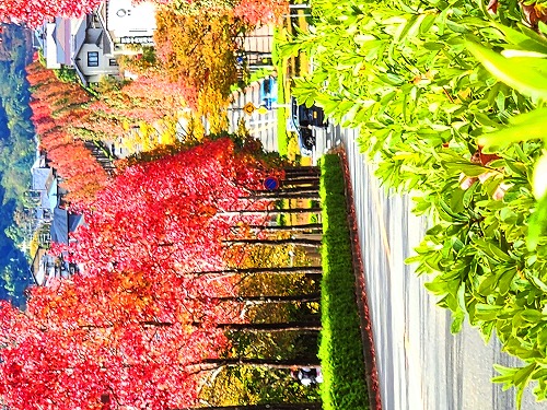 20251111_113958a.jpg (140682 �o�C�g)