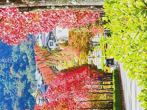 20251111_114000a.jpg (142659 �o�C�g)