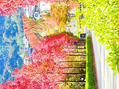 20251111_114002a.jpg (135703 �o�C�g)