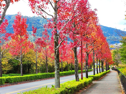 20251111_114033a.jpg (138114 �o�C�g)