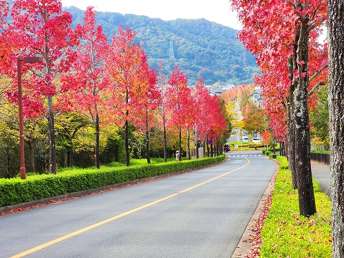 20251111_114127_001a.jpg (126081 �o�C�g)