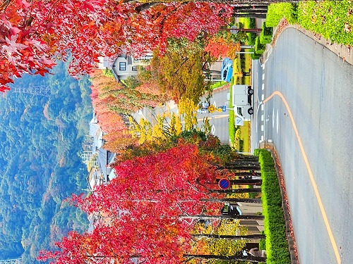 20251111_114140a.jpg (125562 �o�C�g)