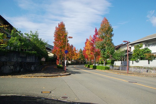 IMGP5941a.jpg (68735 バイト)