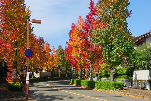 IMGP5943a.jpg (101878 バイト)