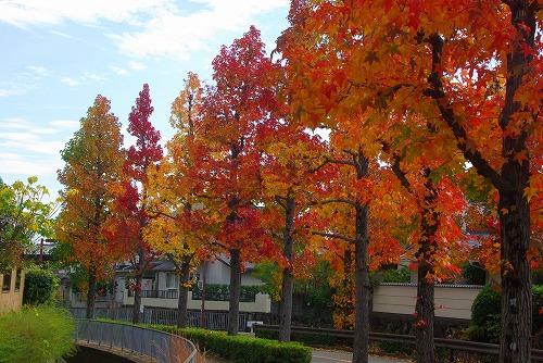 IMGP5967a.jpg (97526 バイト)