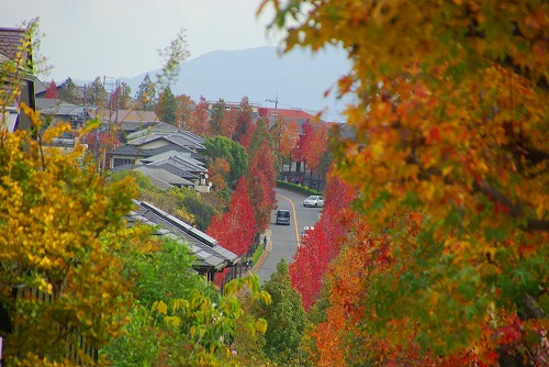 IMGP5984a.jpg (75439 バイト)