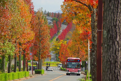 IMGP5987a.jpg (101341 �o�C�g)