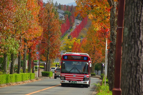 IMGP5988a.jpg (95219 �o�C�g)