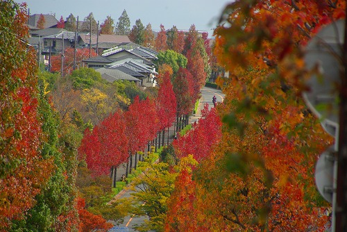 IMGP5992a.jpg (88902 �o�C�g)