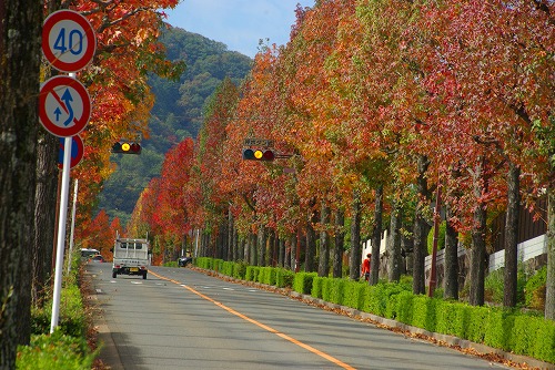 IMGP5996a.jpg (102343 バイト)