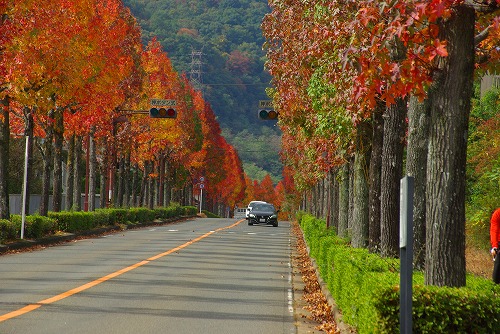 IMGP5997a.jpg (97295 �o�C�g)