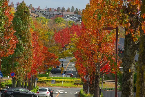 IMGP5999a.jpg (106378 バイト)