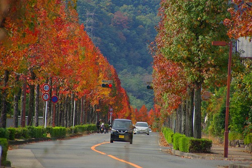 IMGP6002a.jpg (92824 �o�C�g)