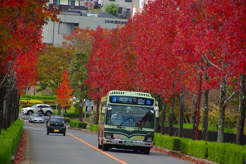 IMGP6019a.jpg (92758 バイト)