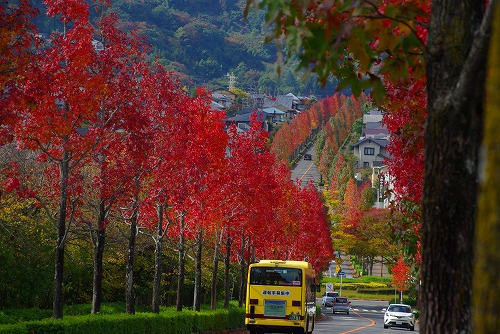 IMGP6023a.jpg (91830 �o�C�g)