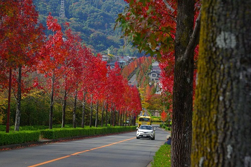 IMGP6025a.jpg (85630 �o�C�g)