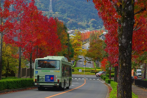 IMGP6032a.jpg (93746 バイト)