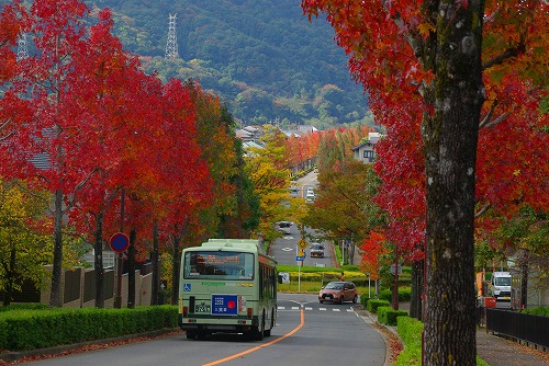 IMGP6034a.jpg (94262 バイト)