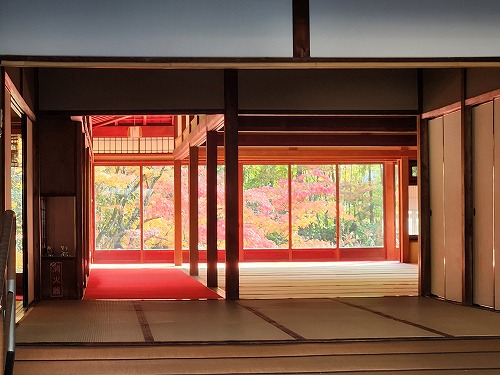 20251126_135452.jpg (65628 バイト)