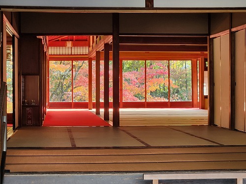 20251126_135455.jpg (71926 �o�C�g)