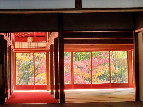 20251126_135541.jpg (74127 バイト)