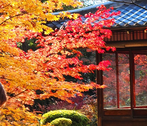 20251126_135914.jpg (147093 バイト)