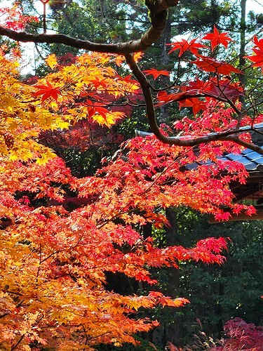 20251126_135920.jpg (142598 �o�C�g)