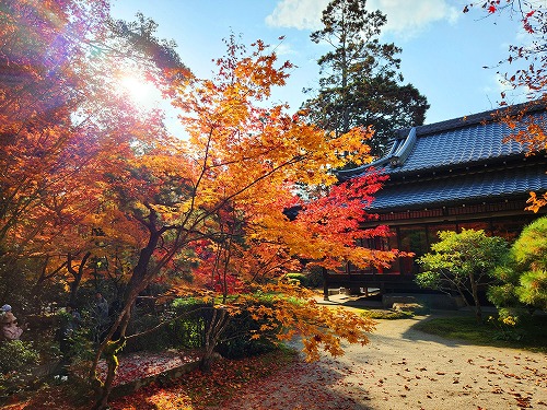 20251126_140038.jpg (128664 バイト)