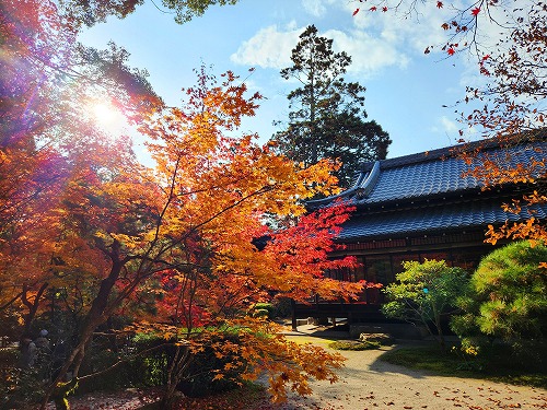 20251126_140043.jpg (125367 バイト)