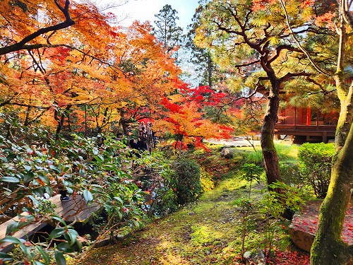 20251126_140110.jpg (155822 バイト)