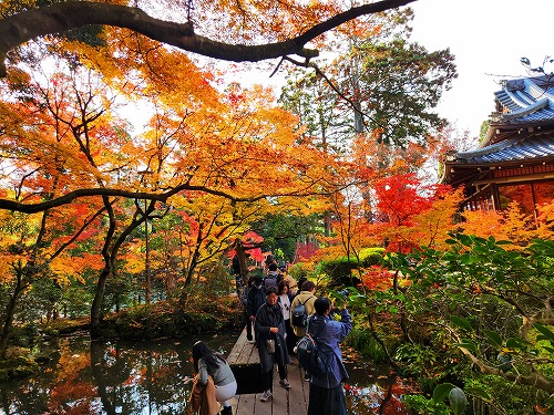 20251126_140152_001.jpg (144065 バイト)