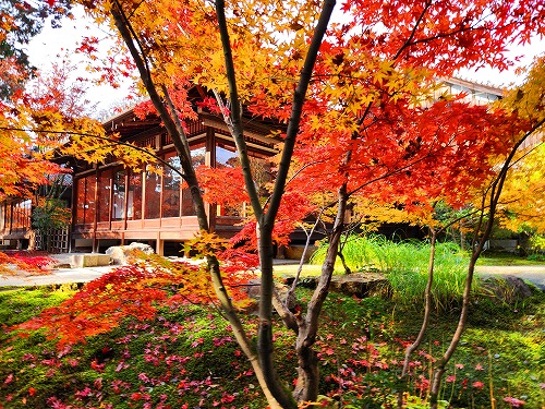 20251126_140233.jpg (156144 �o�C�g)