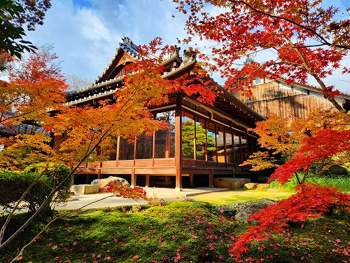 20251126_140239.jpg (143489 �o�C�g)