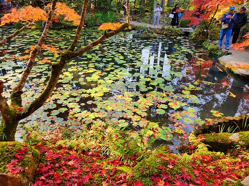 20251126_140326.jpg (158716 バイト)