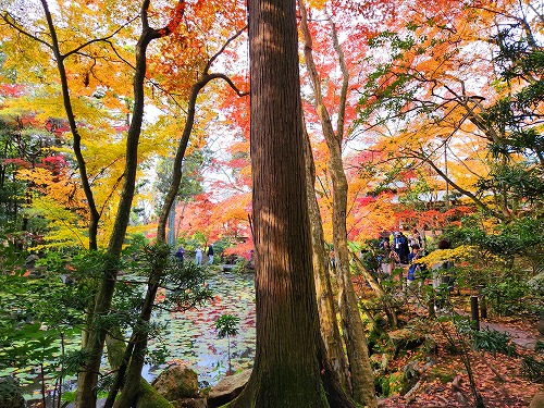 20251126_140419_001.jpg (151290 バイト)