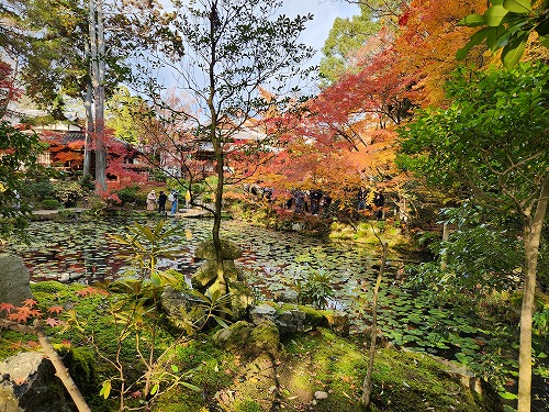 20251126_140502.jpg (151459 バイト)