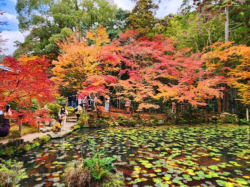 20251126_141308.jpg (156784 �o�C�g)