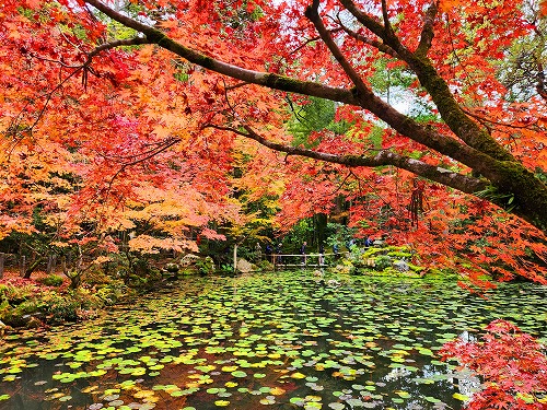 20251126_141335.jpg (164539 �o�C�g)