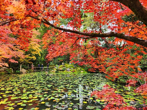 20251126_141342.jpg (165292 �o�C�g)