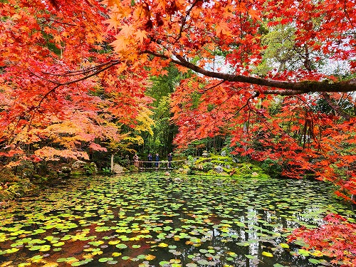 20251126_141344.jpg (165333 �o�C�g)