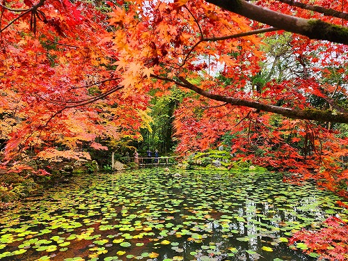 20251126_141348.jpg (164835 バイト)