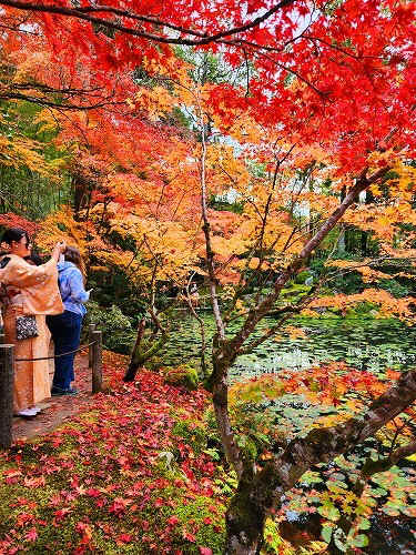 20251126_141421.jpg (153334 バイト)