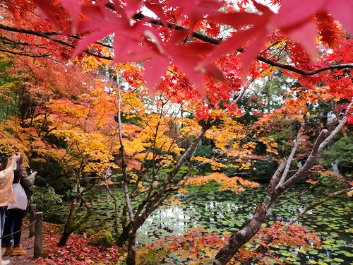 20251126_141425_001.jpg (131534 バイト)