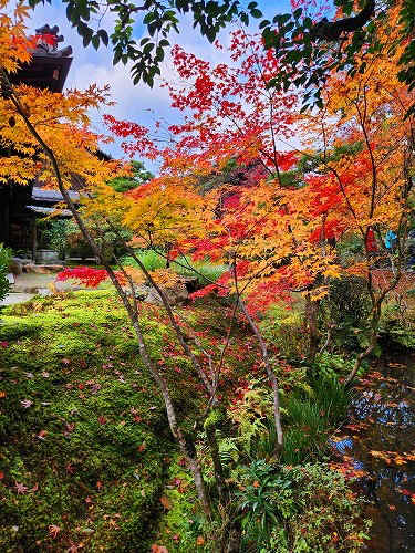 20251126_141507.jpg (146641 �o�C�g)